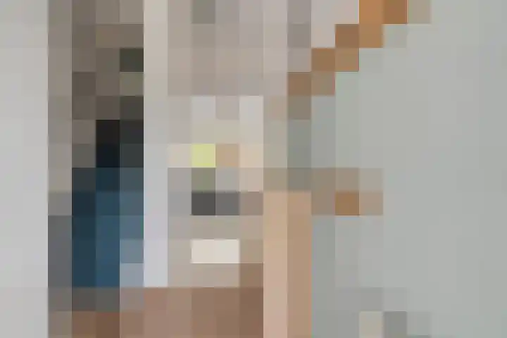 Havik 5 Ommen thumbnail 7