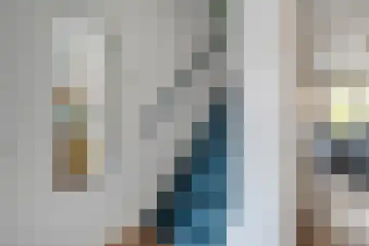 Havik 5 Ommen thumbnail 8
