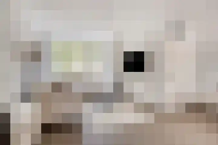 Havik 55 Etten-Leur thumbnail 11
