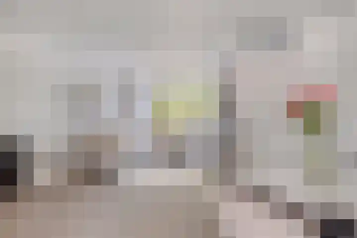 Havik 55 Etten-Leur thumbnail 14