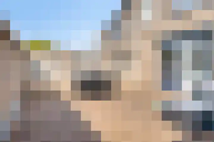 Havik 55 Etten-Leur thumbnail 23