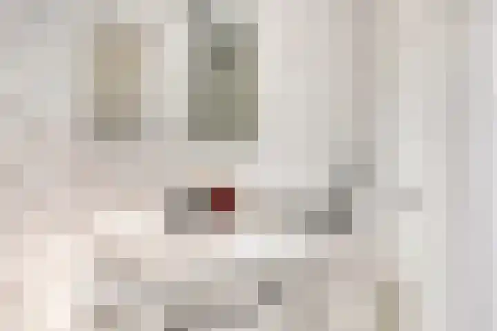 Havik 55 Etten-Leur thumbnail 32