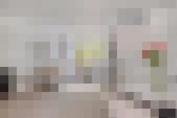 Havik 55 Etten-Leur thumbnail 50