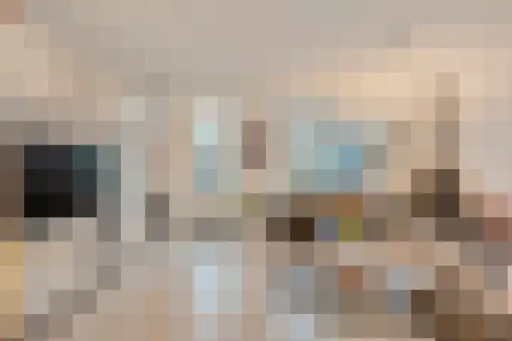 Havik 7 Ommen thumbnail 12