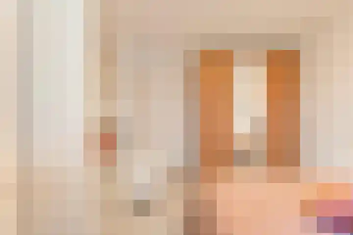 Havik 7 Ommen thumbnail 23