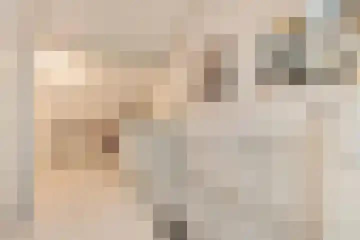 Havik 7 Ommen thumbnail 34