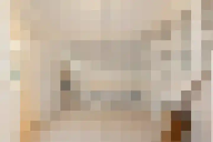 Havik 7 Ommen thumbnail 36