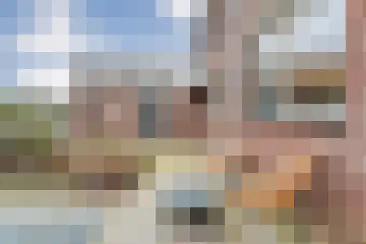 Havik 7 Ommen thumbnail 6