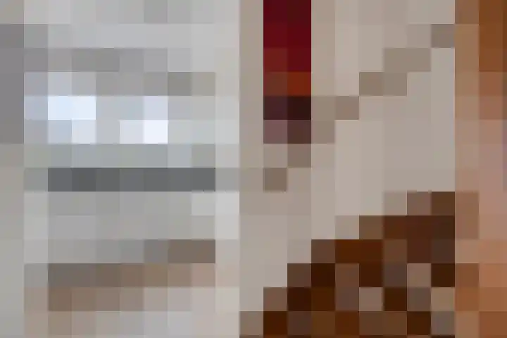 Haviklaan 14 Venray thumbnail 12