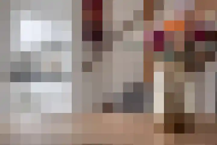 Haviklaan 14 Venray thumbnail 16