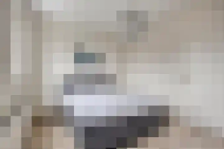 Haviklaan 14 Venray thumbnail 20