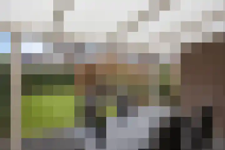 Haviklaan 14 Venray thumbnail 28