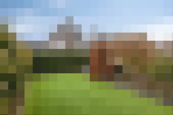 Haviklaan 14 Venray thumbnail 30