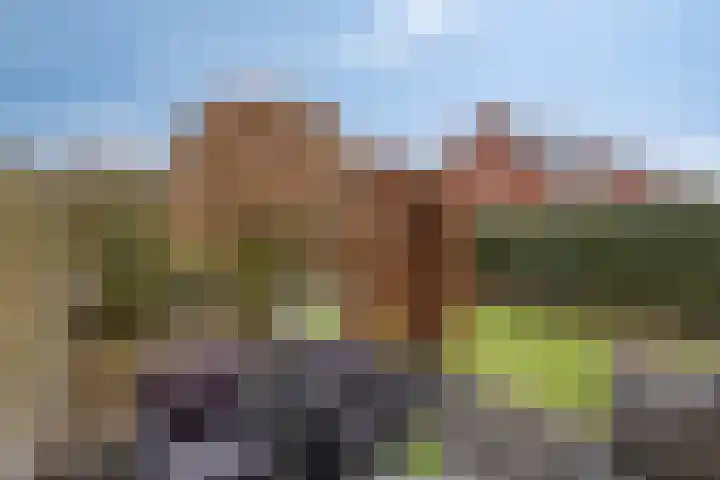 Haviklaan 14 Venray thumbnail 31