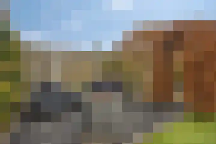 Haviklaan 14 Venray thumbnail 32