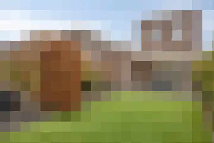 Haviklaan 14 Venray thumbnail 33