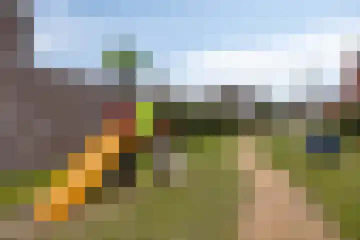 Haviklaan 14 Venray thumbnail 42