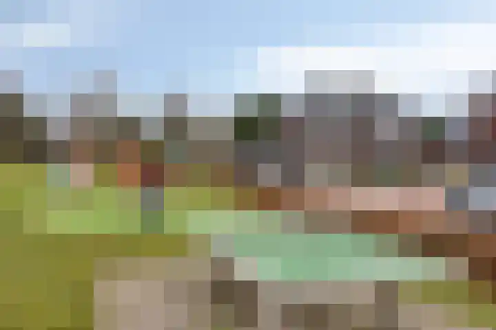 Haviklaan 14 Venray thumbnail 43