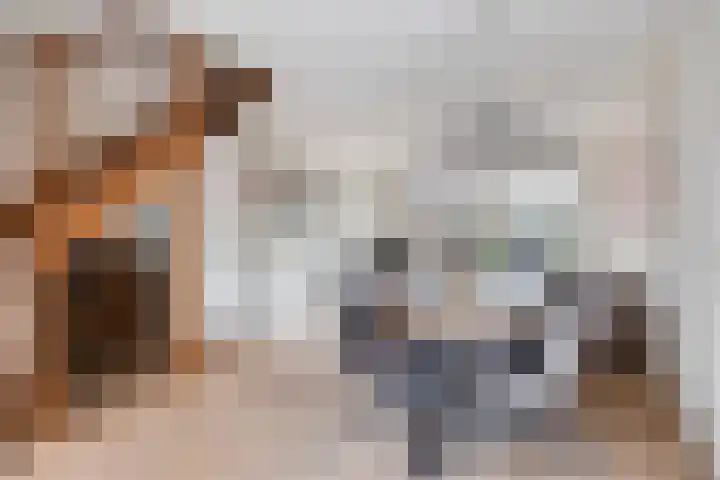 Haviklaan 14 Venray thumbnail 5