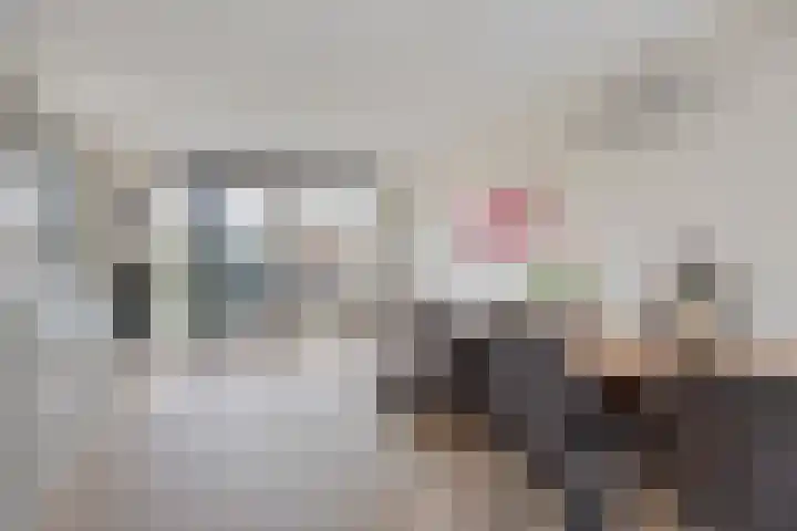 Haviklaan 14 Venray thumbnail 6