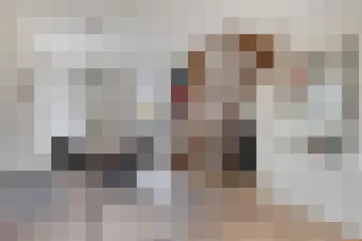 Haviklaan 14 Venray thumbnail 7