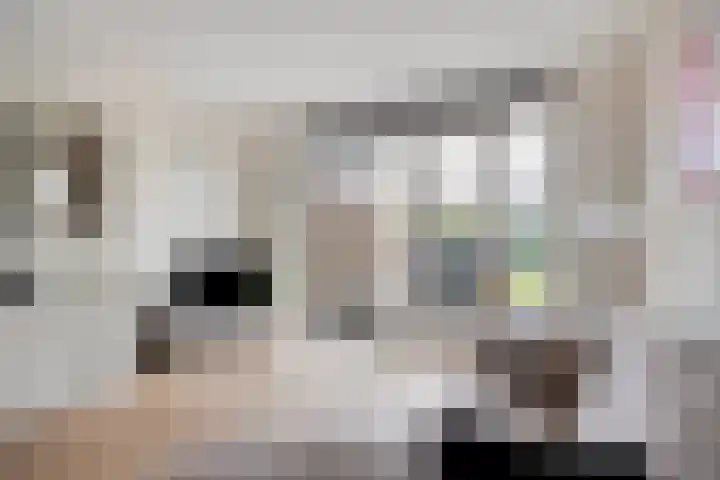 Haviklaan 14 Venray thumbnail 9