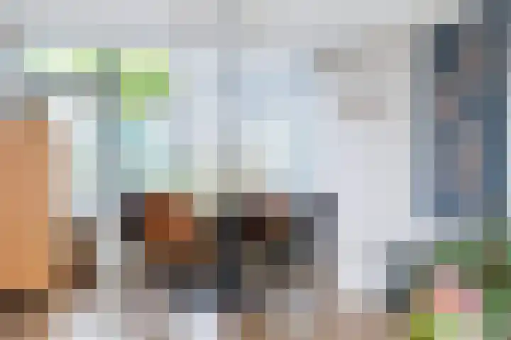 Haviklaan 18 Dieren thumbnail 15