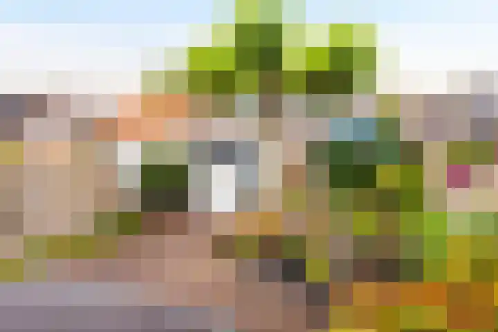 Haviklaan 18 Dieren thumbnail 17