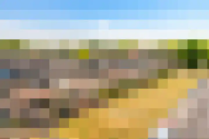 Haviklaan 18 Dieren thumbnail 25