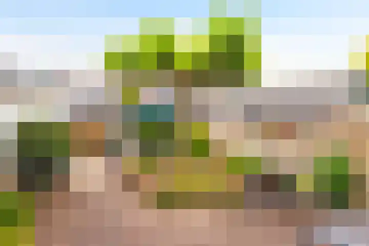 Haviklaan 18 Dieren thumbnail 4