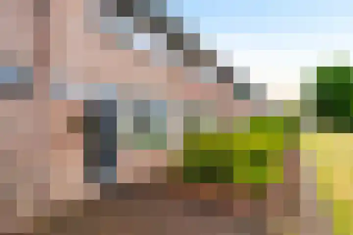 Haviklaan 18 Dieren thumbnail 6