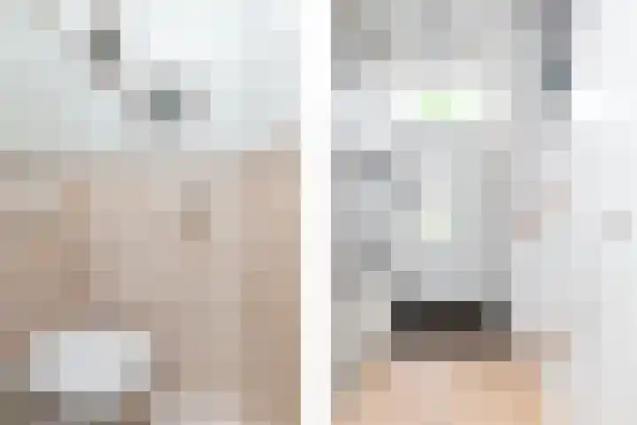 Haviklaan 18 Dieren thumbnail 7