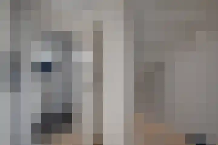 Haviklaan 3 Dieren thumbnail 16