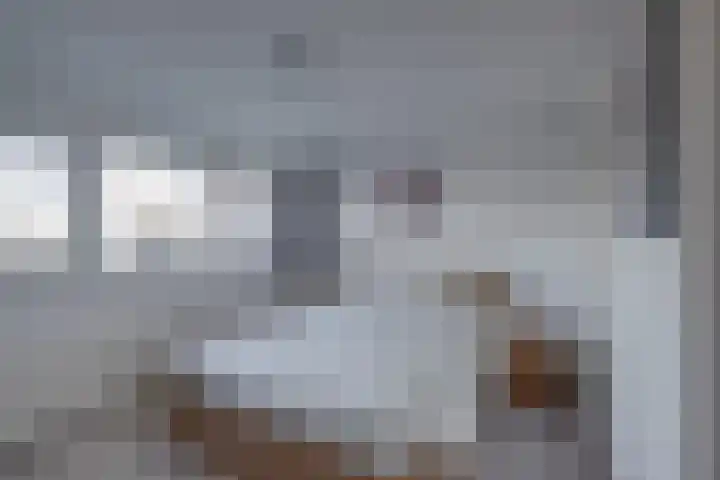 Haviklaan 3 Dieren thumbnail 17