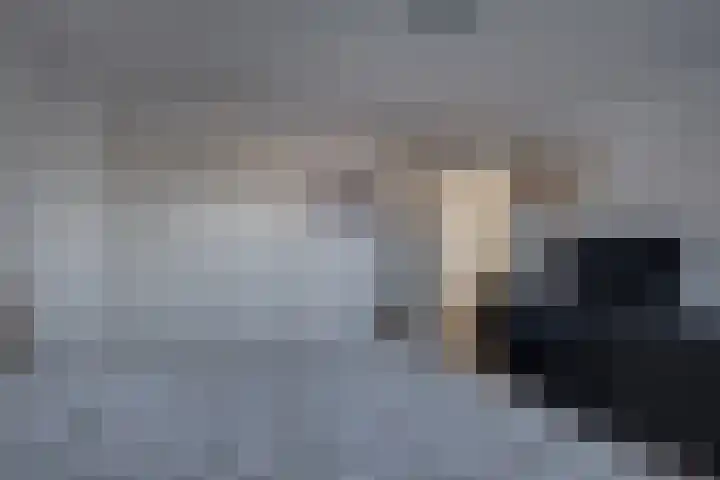 Haviklaan 3 Dieren thumbnail 18