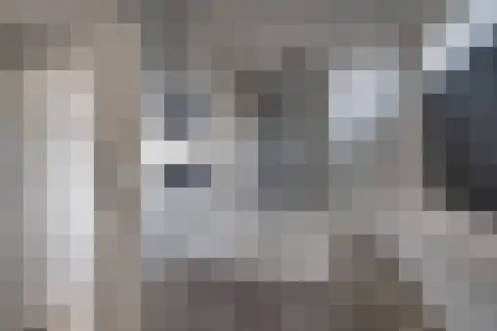 Haviklaan 3 Dieren thumbnail 21