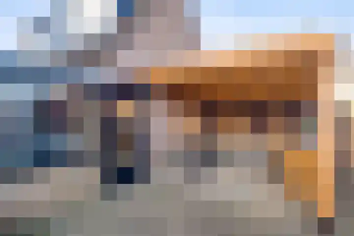 Haviklaan 3 Dieren thumbnail 24