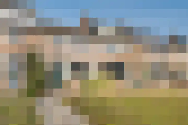 Haviklaan 3 Dieren foto 3