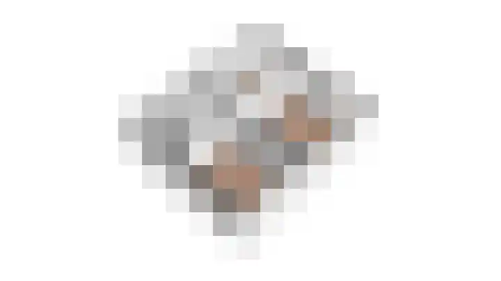 Haviklaan 3 Dieren thumbnail 34
