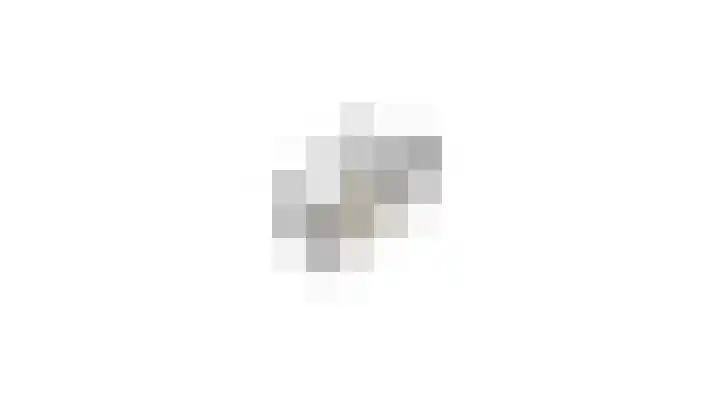 Haviklaan 3 Dieren thumbnail 38