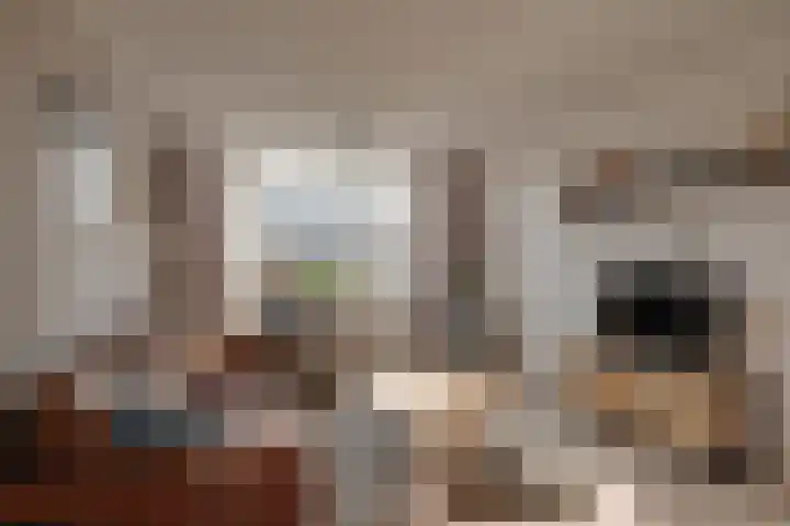 Haviklaan 3 Dieren thumbnail 8