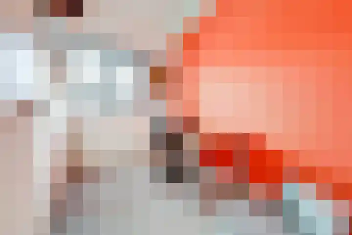 Haviklaan 46 Venray thumbnail 17