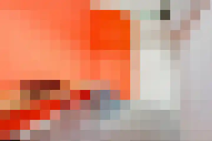 Haviklaan 46 Venray thumbnail 18