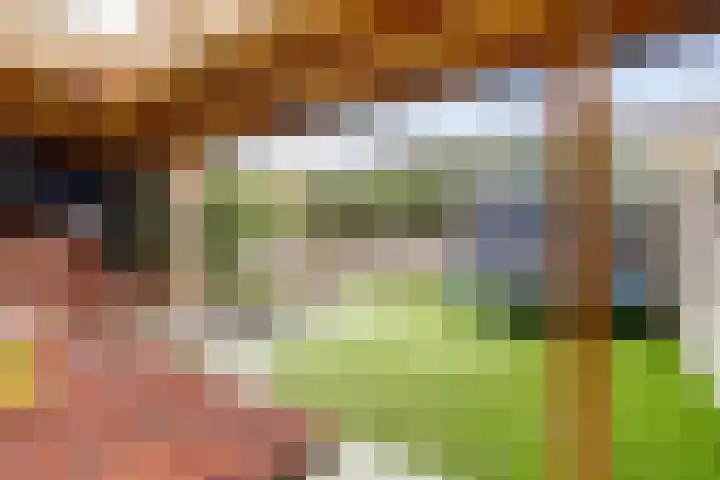 Haviklaan 46 Venray thumbnail 26