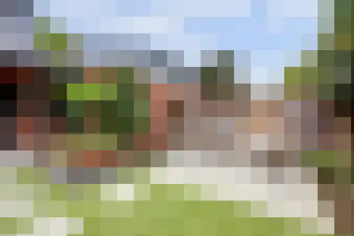 Haviklaan 46 Venray thumbnail 27