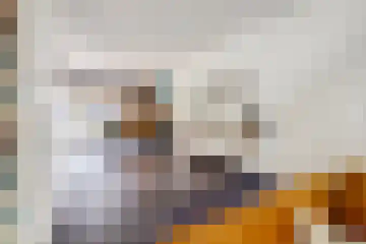 Haviklaan 46 Venray thumbnail 6