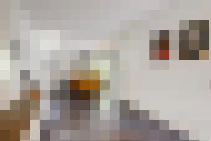 Haviklaan 46 Venray thumbnail 8