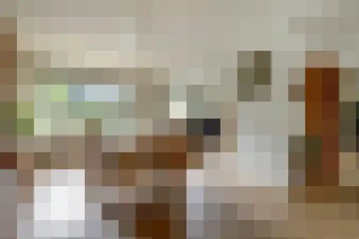 Havikshof 14 Ermelo thumbnail 13