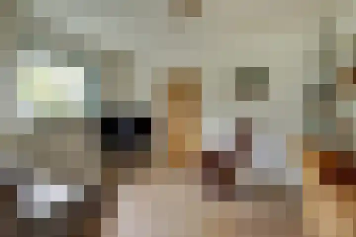 Havikshof 14 Ermelo thumbnail 14