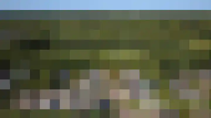 Havikshof 14 Ermelo thumbnail 36